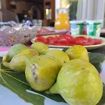 Pensjonat Palma Palit