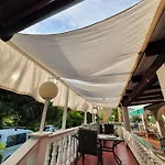 Palma Palit