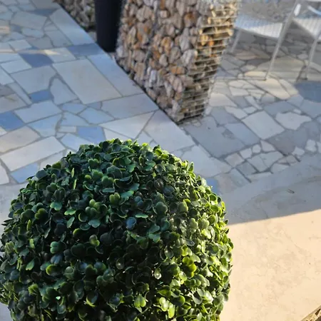 Palma Πανσιόν Palit