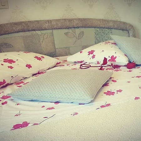 Palma Guesthouse Palit