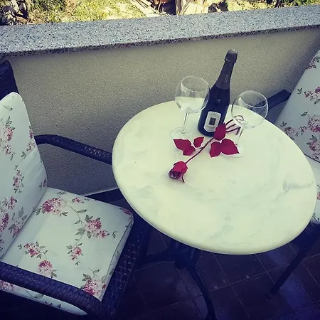 Casa de hóspedes Palma