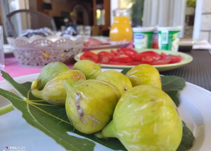 Maison d'hôtes Palma Palit